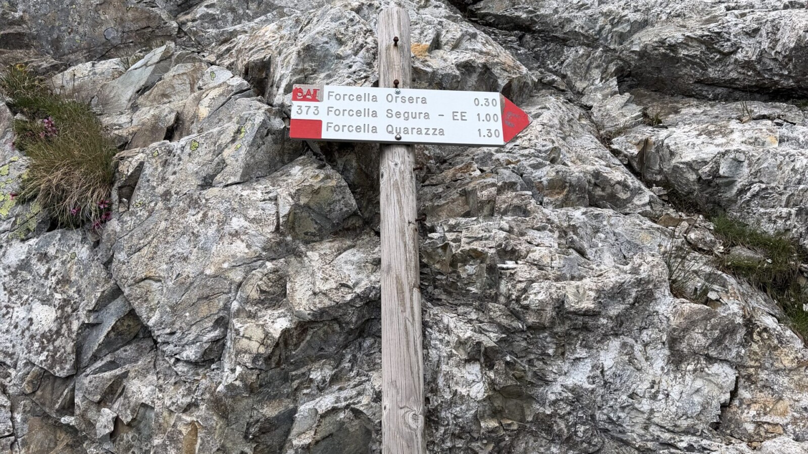 Cartello indicatore del sentiero verso Forcella Segura anello forcella segura 20260719 - 14_Cartello indicatore per forcella Orsera